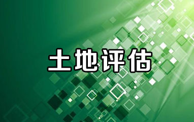 土地评估